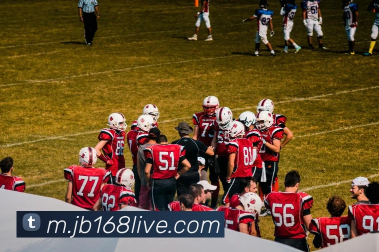 九博国际平台生态图